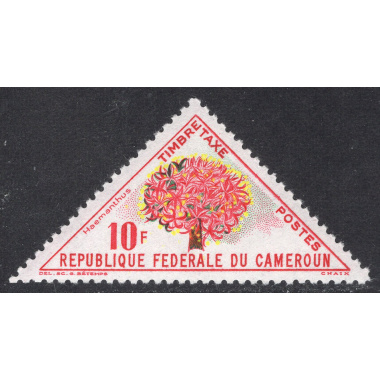 CAMEROUN SCOTT J45