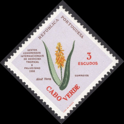 CAPE VERDE SCOTT 303