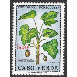 CAPE VERDE SCOTT 346