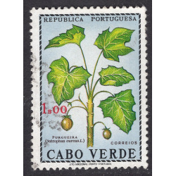 CAPE VERDE SCOTT 346