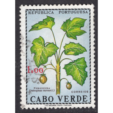 CAPE VERDE SCOTT 346