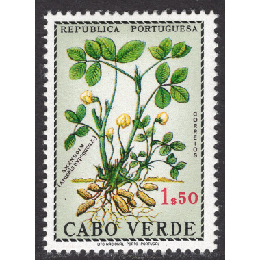 CAPE VERDE SCOTT 347