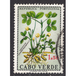 CAPE VERDE SCOTT 347