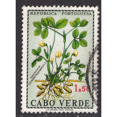 CAPE VERDE SCOTT 347
