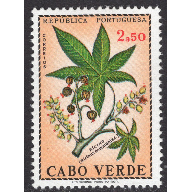 CAPE VERDE SCOTT 348
