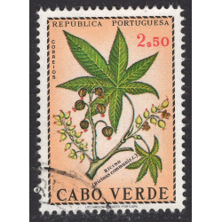 CAPE VERDE SCOTT 348