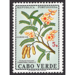 CAPE VERDE SCOTT 352