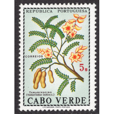 CAPE VERDE SCOTT 352