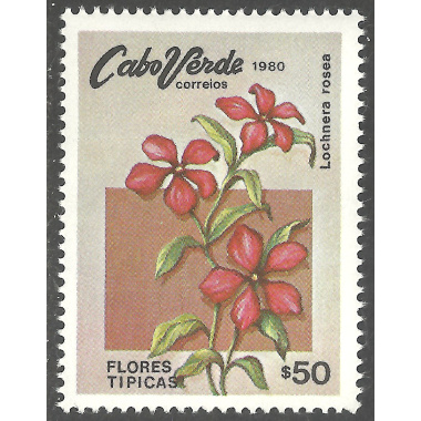 CAPE VERDE SCOTT 416