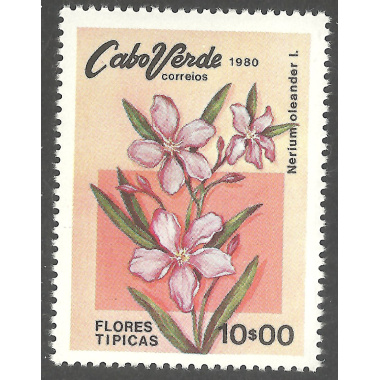 CAPE VERDE SCOTT 419