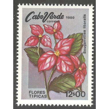 CAPE VERDE SCOTT 420