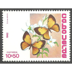 CAPE VERDE SCOTT 460