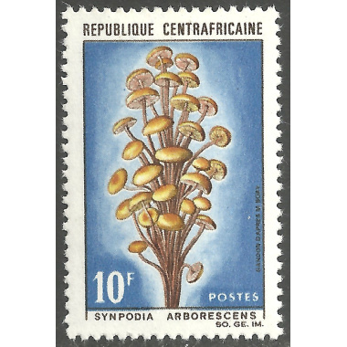 CENTRAL AFRICAN REPUBLIC SCOTT 82