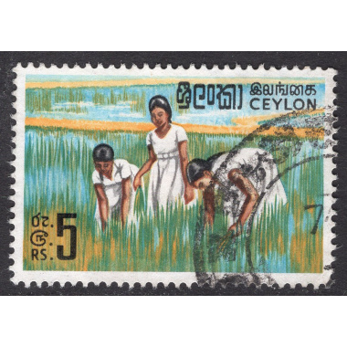 CEYLON SCOTT 379A