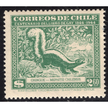 CHILE SCOTT 255D