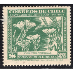 CHILE SCOTT 255E