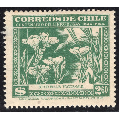 CHILE SCOTT 255E