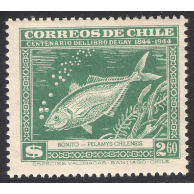 CHILE SCOTT 255L