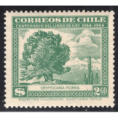 CHILE SCOTT 255T