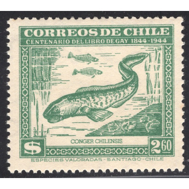 CHILE SCOTT 255Y