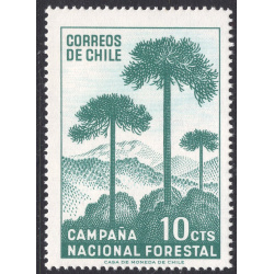 CHILE SCOTT 363
