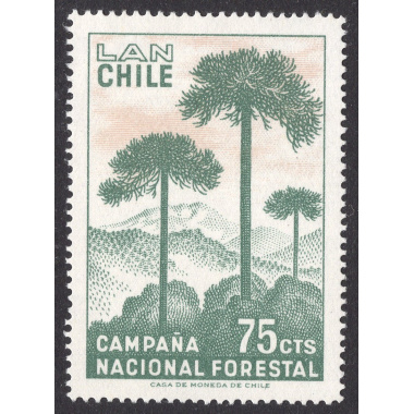 CHILE SCOTT C274