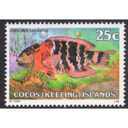 COCOS ISLANDS SCOTT 41