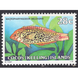 COCOS ISLANDS SCOTT 42