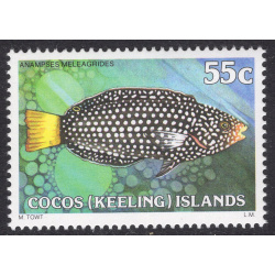 COCOS ISLANDS SCOTT 47