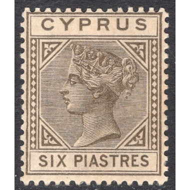 CYPRUS SCOTT 24