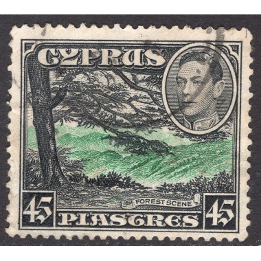 CYPRUS SCOTT 153
