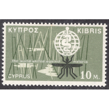 CYPRUS SCOTT 204