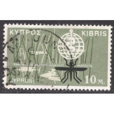 CYPRUS SCOTT 204