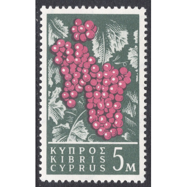 CYPRUS SCOTT 207