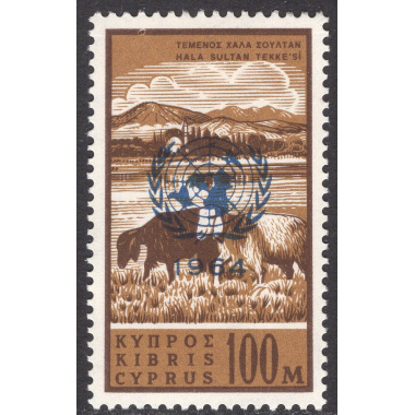 CYPRUS SCOTT 236
