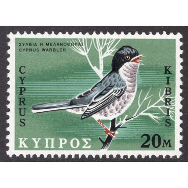 CYPRUS SCOTT 331