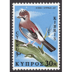CYPRUS SCOTT 332