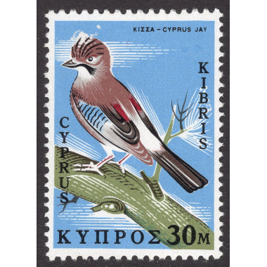 CYPRUS SCOTT 332
