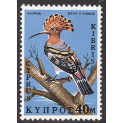 CYPRUS SCOTT 333