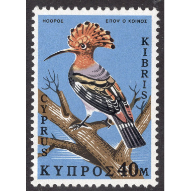 CYPRUS SCOTT 333