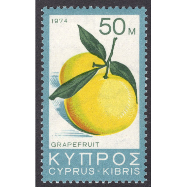 CYPRUS SCOTT 413