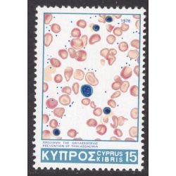 CYPRUS SCOTT 504