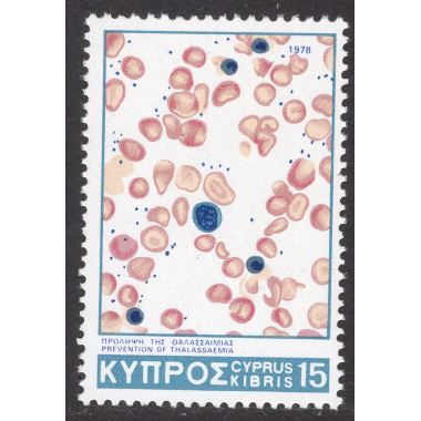 CYPRUS SCOTT 504