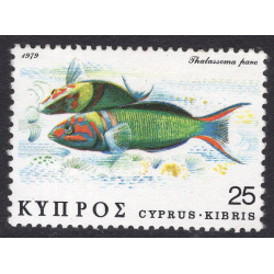 CYPRUS SCOTT 516