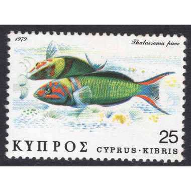 CYPRUS SCOTT 516