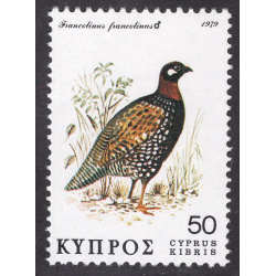 CYPRUS SCOTT 517