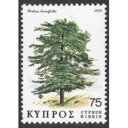 CYPRUS SCOTT 518