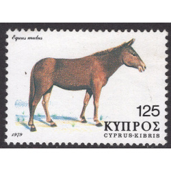 CYPRUS SCOTT 519
