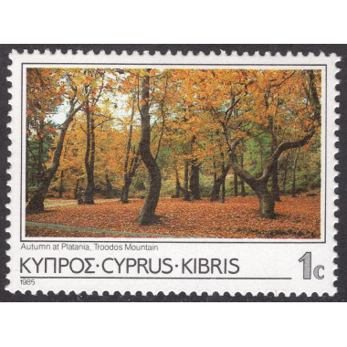 CYPRUS SCOTT 640