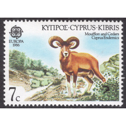 CYPRUS SCOTT 669